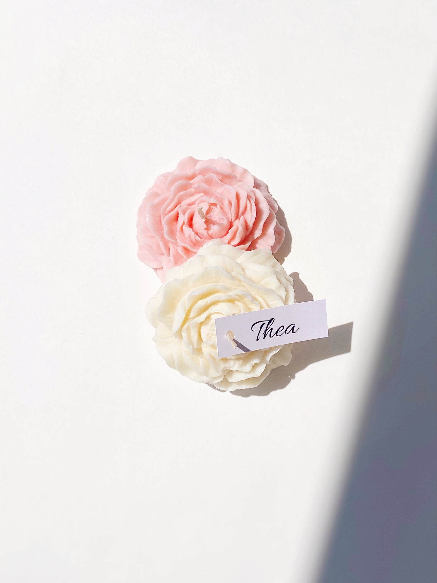 Flower set - Ivory and Blush