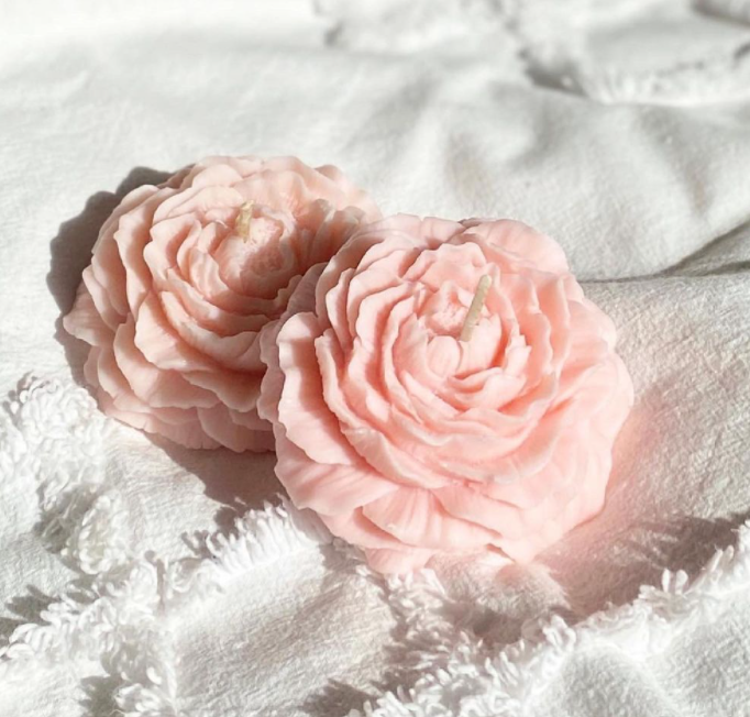 Peony Flower - Blush Pink